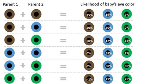 was bedeuten braune augen augenfarben kombinationen eltern und kinder ...