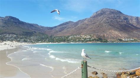 Hout Bay Beach the most iconic of Cape Town Beaches.