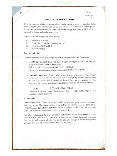 BACTERIAL RESPIRATION | PDF