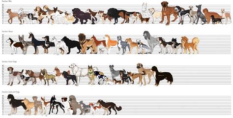 Pin by Wendys Nn on Takarítási tippek | Large dog breeds, Dog size ...