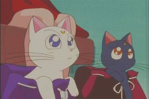 Artemis & Luna - Anime Image (28605254) - Fanpop