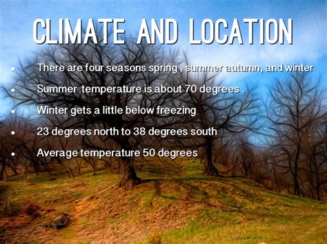 Temperate Deciduous Forest Energy Pyramid