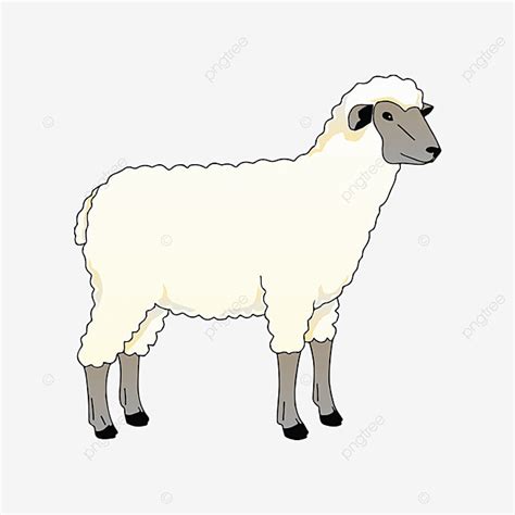 Cartoon Sheep Vector Design Images, Sheep Cartoon, Sheep Clipart, Sheep ...