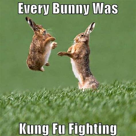 Easter Bunny Memes | Oppidan Library