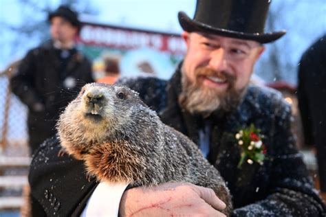 A gloomy Groundhog Day: Punxsutawney Phil says more winter | PBS News