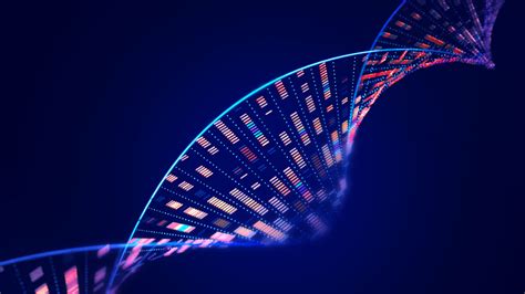 9 heart disease risk factors, according to experts | Live Science