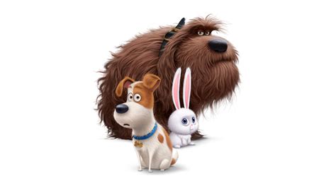 Max, Snowball, 8K, The Secret Life Of Pets, Duke, 8K, Animation HD ...