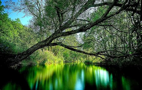 Nature Wallpaper Windows 10 | 3d nature wallpaper, Nature desktop ...