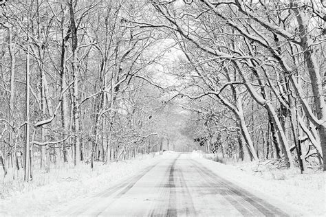 Winter Wonderland by N. Vivienne Shen Photography