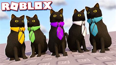 Roblox Boy Cat