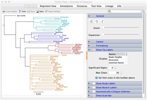 Viewing and formatting trees