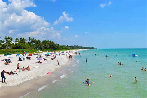 Are Dogs Allowed On Beaches In Naples Florida