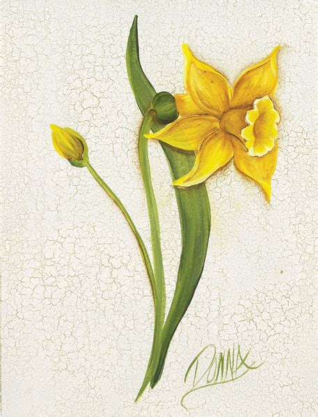 Daffodil Pencil Drawing at GetDrawings | Free download