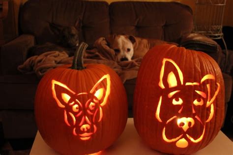 22 Dog Themed Pumpkin Carvings That Will Get You Into The Halloween Mood