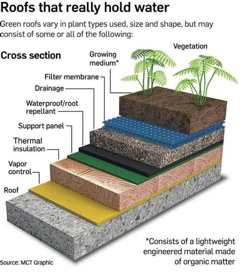 Successful green roof detail | Green roof, Living roofs, Sustainable ...