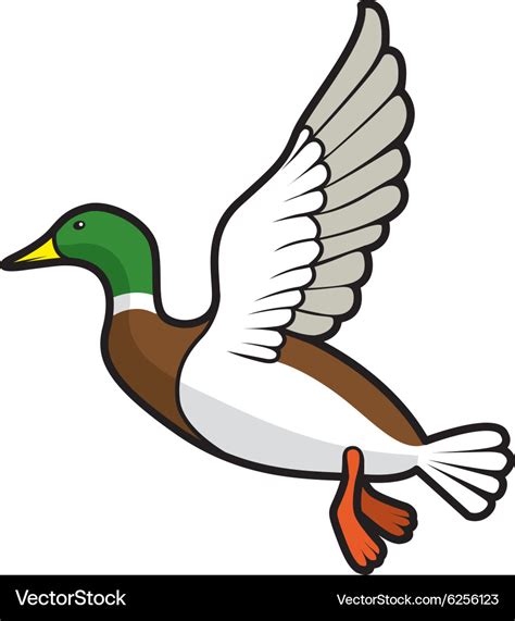 Flying duck Royalty Free Vector Image - VectorStock