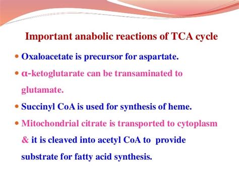 TCA CYCLE & ITS REGULATION