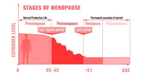 How Long Does Menopause Last? | Responsum Health