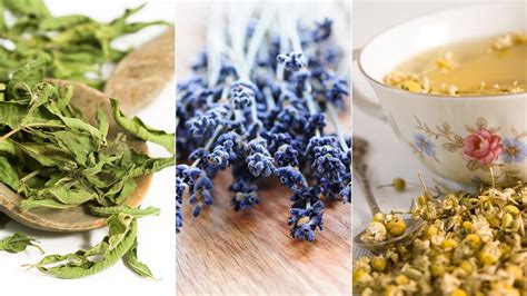 5 Calming Herbs to Soothe Anxiety | Therese Borchard