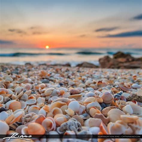 Sunrise with Shells at Beach | HDR Photography by Captain Kimo