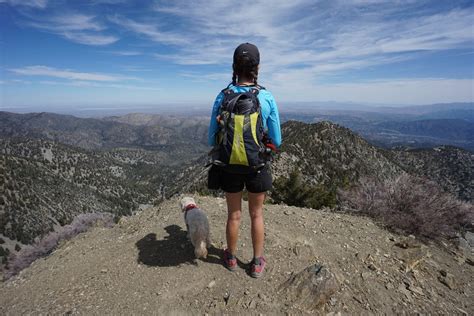 12 Must-Do Hikes in the San Gabriel Mountains - GPS Dog Trails