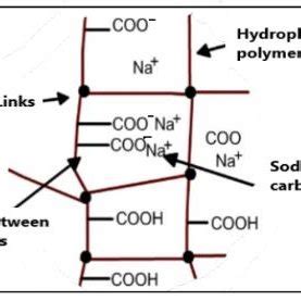 Figure A: Structure of super absorbent polymer and figure B ...