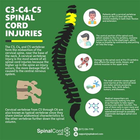 C3, C4, & C5 Vertebrae Spinal Cord Injury | SpinalCord.com