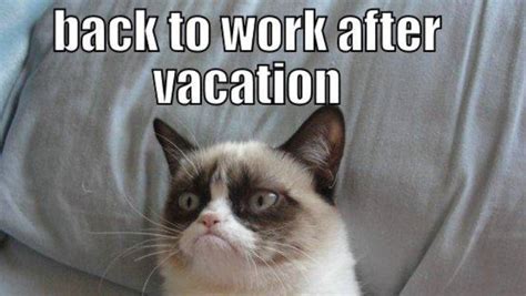 The 10 back-to-work memes that sum up how we really feel | Stuff.co.nz