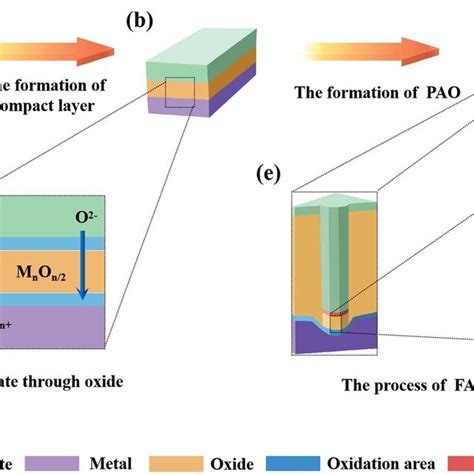 Schematic of the mechanism of FAD theory. | Download Scientific Diagram