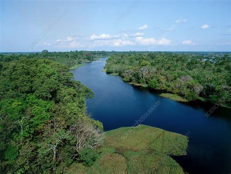 Tributary of the Amazon River - Stock Image - E540/0254 - Science Photo ...