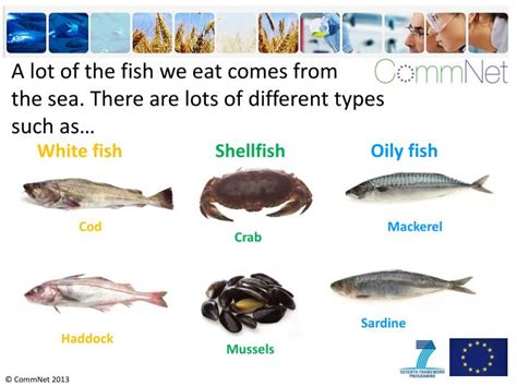 types of white fish to eat