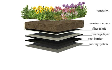 Designing green roofs for stormwater management - Construction Canada