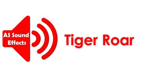 Tiger Roar Sound Effect HD (No Copyright) | AS Sound Effects 2021 - YouTube