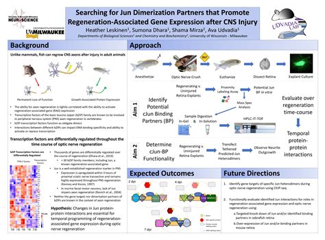 Graduate Cell and Molecular Biology Symposium Posters - Biological Sciences