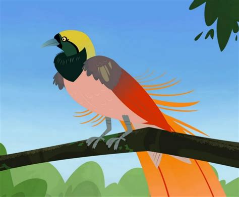 Wild Kratts-birds of paradise mission | Wild Kratts Fanon Wiki | Fandom