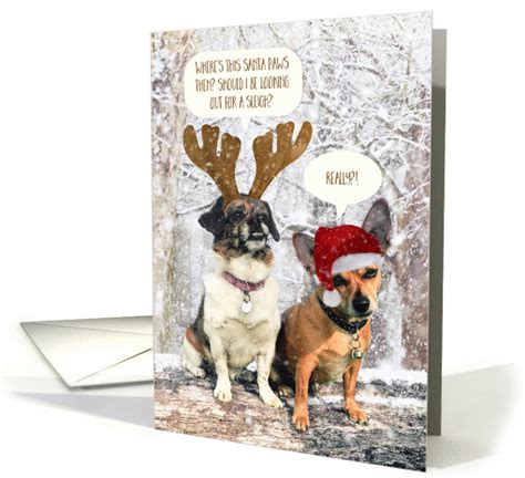 Funny Dog Christmas Card - Snowy Scene and The Santa Paws Mystery card