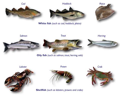 types of white fish to eat