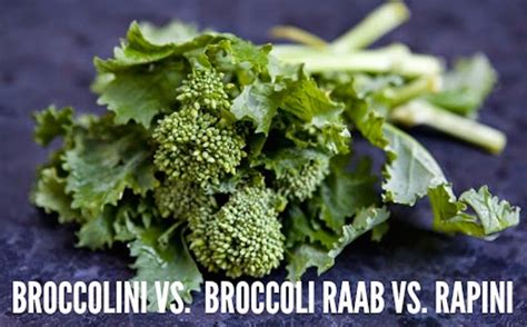 Good Stuff NW: In Season NW: Broccolini, Raab, Rabe, Rapini