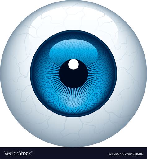 Eyeball Royalty Free Vector Image - VectorStock