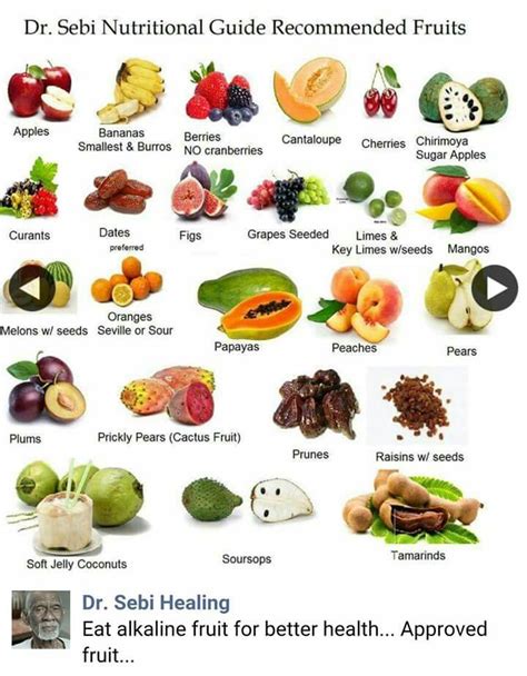 Dr. Sebi approved fruits | Dr sebi alkaline food, Alkaline diet recipes ...