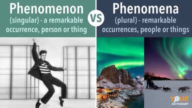 Phenomenon vs. Phenomena: Same Meaning, Different Quantity