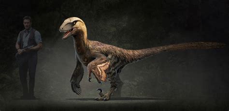 Velociraptor Feathers Jurassic Park