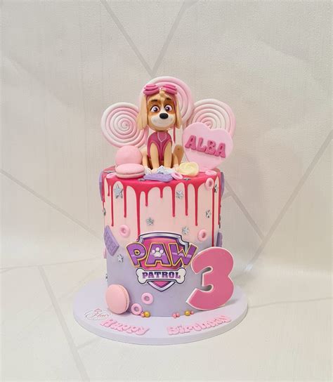 Paw Patrol Cake - Skye - Flair Cake Boutique