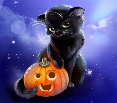 35+ Cat Wallpaper For Halloween 2020 (High Quality Resolution ...