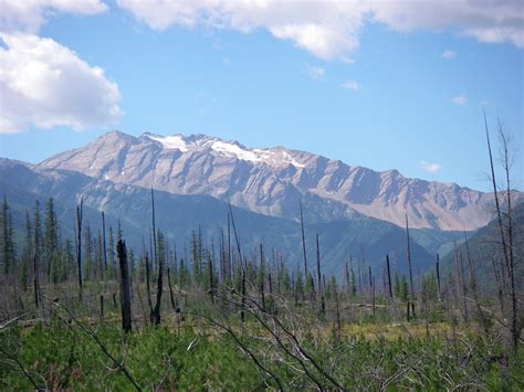 Best Hikes in Flathead National Forest (MT) - Trailhead Traveler