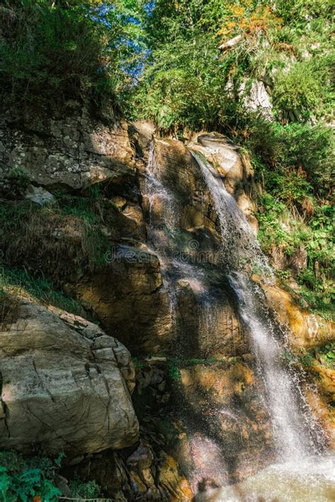 Waterfall in the Forest in the Valley of Mountains . Stock Photo ...