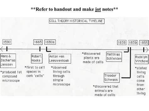 Cell History Timeline