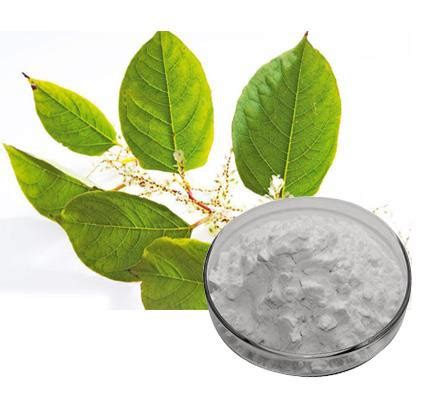 Resveratrol Japanese Knotweed Extract Manufacturers, Factory - Free ...