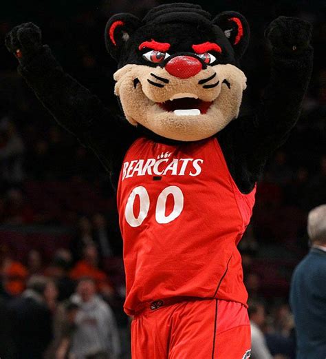 Cincinnati Bearcat | My teams | Pinterest