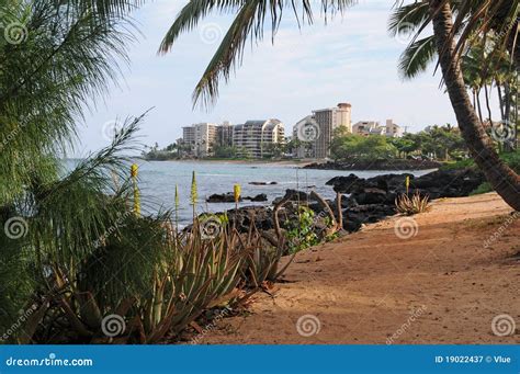 Ocean View Hotel stock image. Image of hawaii, vacation - 19022437